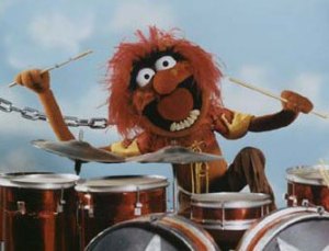 Animal drummer for the Muppet Show House Band